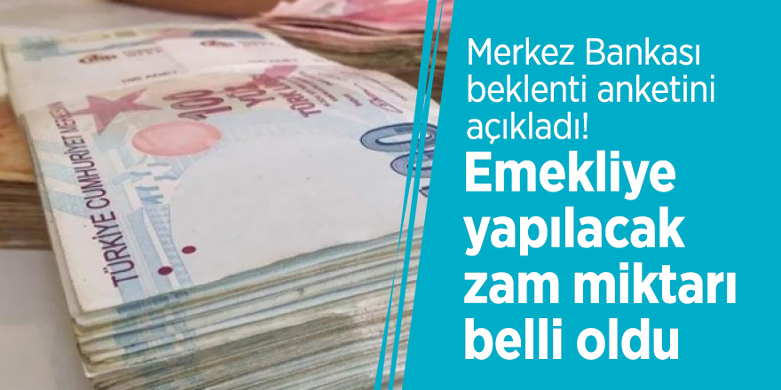 Merkez Bankas Beklenti Anketini A Klad Emekliye Yap Lacak Zam