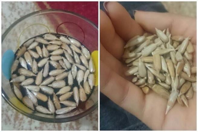 16 İlginç Yeme-İçme Şekli 13