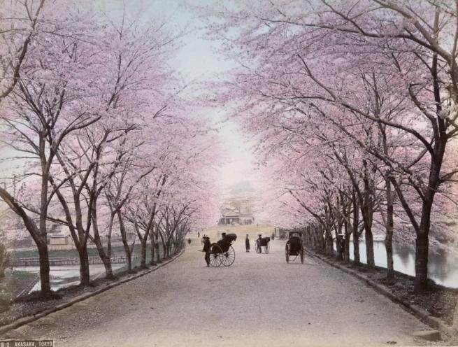 Renklendirilmiş fotoğraflarıyla 1890'ların Japonya'sı 20