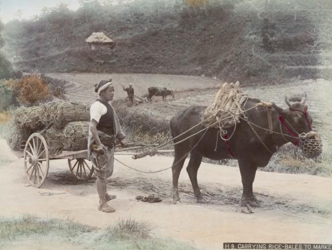 Renklendirilmiş fotoğraflarıyla 1890'ların Japonya'sı 22
