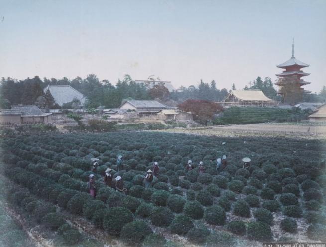 Renklendirilmiş fotoğraflarıyla 1890'ların Japonya'sı 7