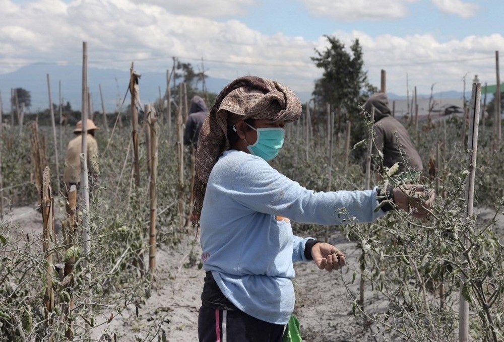 Endonezya'da Sinabung Yanardağı'nda hareketlilik 10
