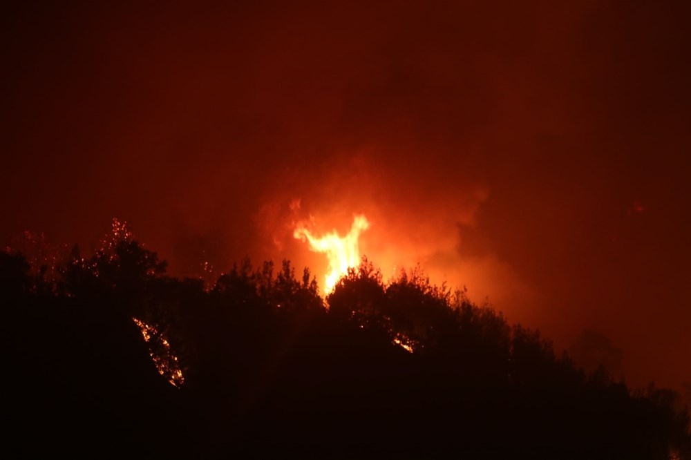 Adana'da orman yangını: 6 köy ve 800 hane boşaltıldı 12