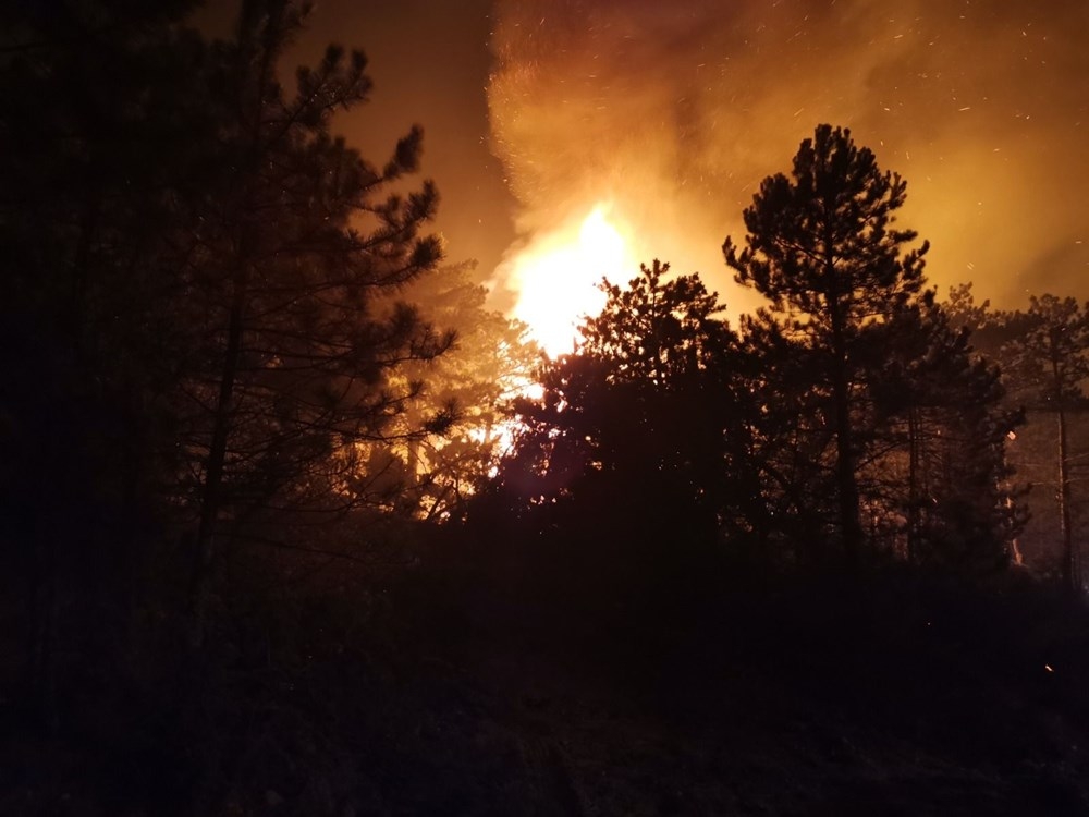 Ankara'da orman yangını! Saatlerdir müdahale ediliyor 3
