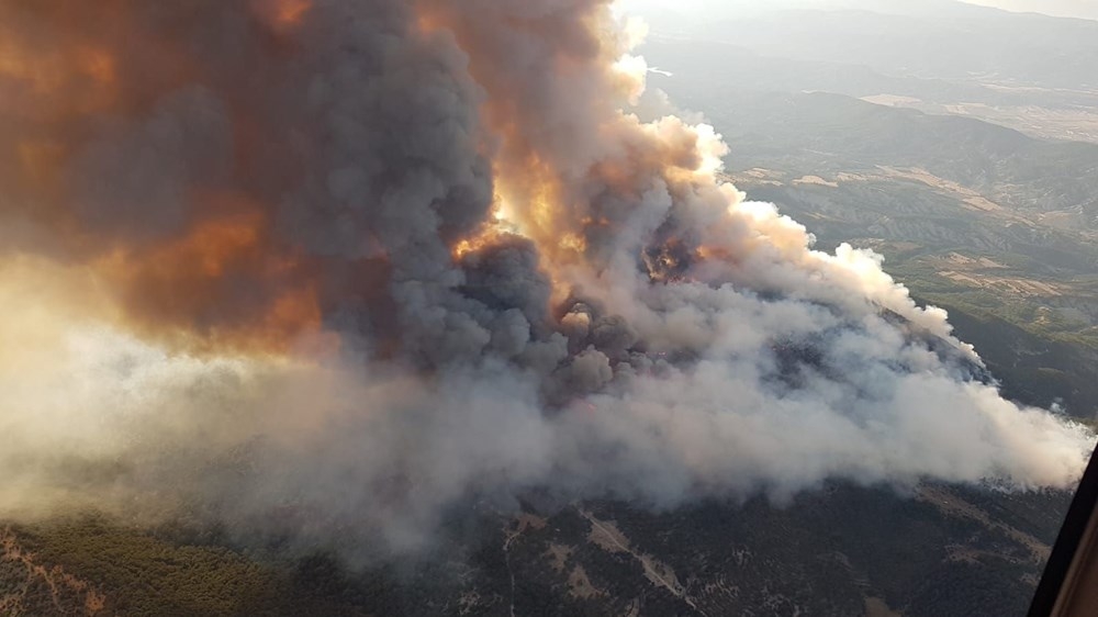 Ankara'da orman yangını! Saatlerdir müdahale ediliyor 6