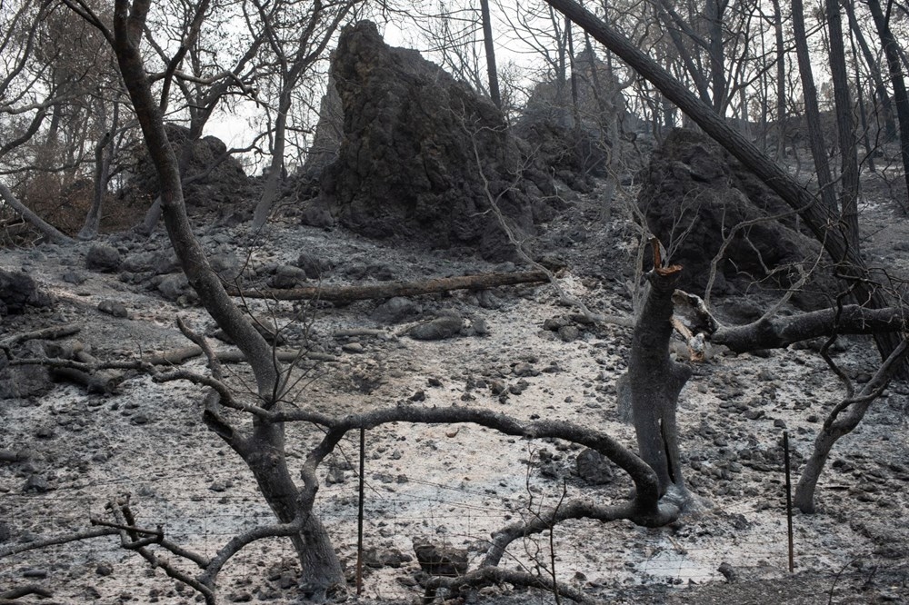California'da 8 bin kilometrekare alan yandı, rekor kırıldı 14