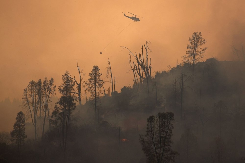 California'da 8 bin kilometrekare alan yandı, rekor kırıldı 17