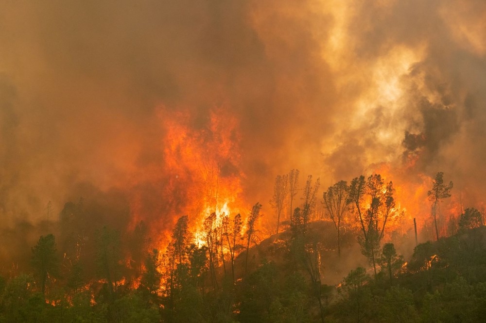 California'da 8 bin kilometrekare alan yandı, rekor kırıldı 9
