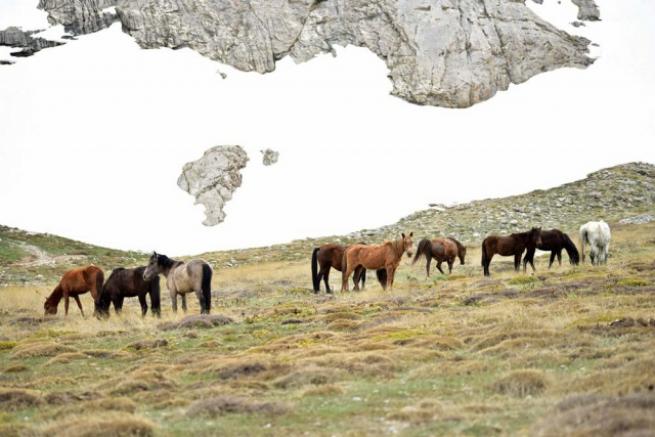 Toroslarda iki mevsim 12