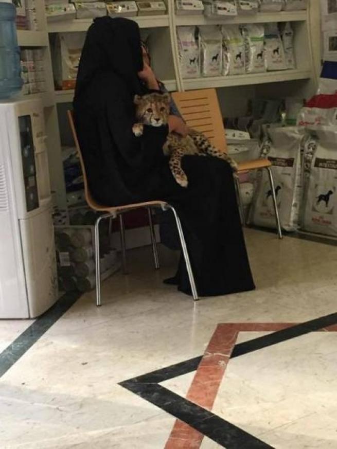 Bunlar sadece Dubai'de 10