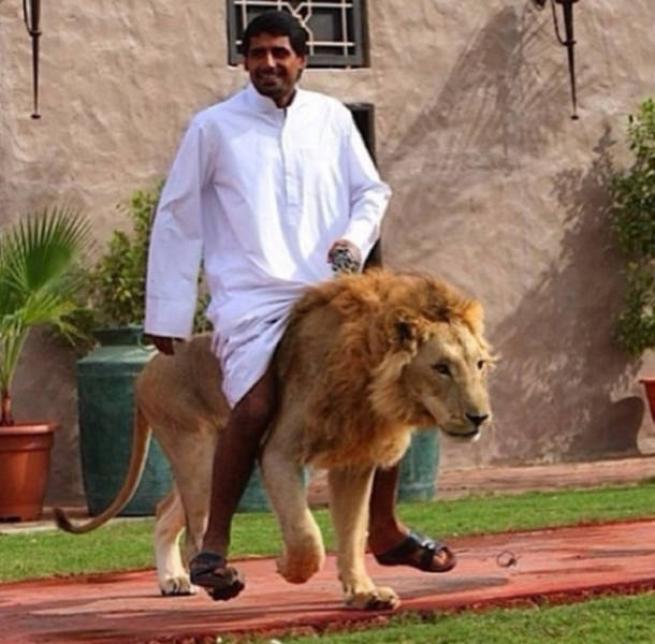Bunlar sadece Dubai'de 25