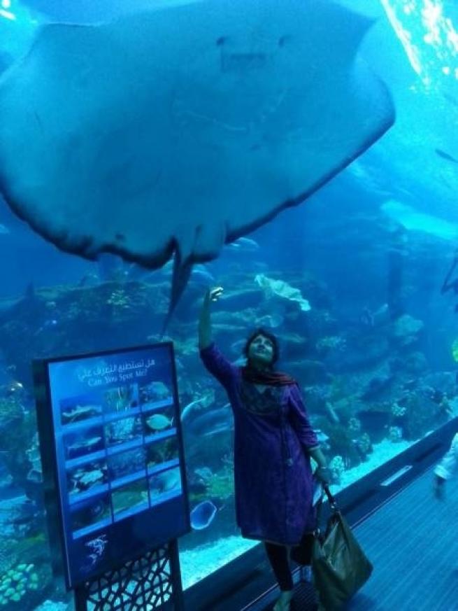 Bunlar sadece Dubai'de 4