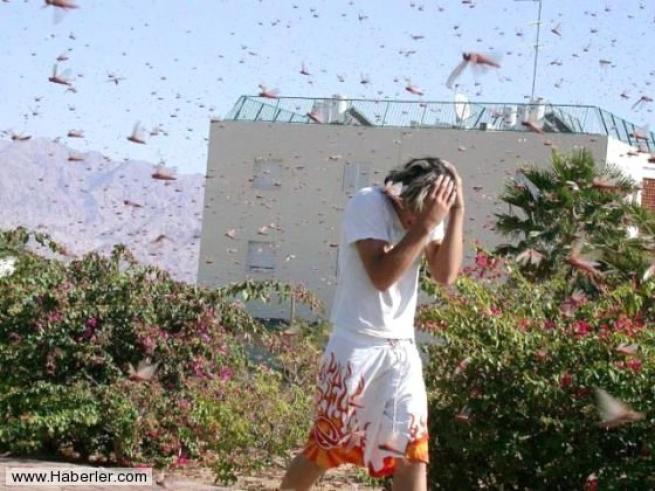 Sizden daha kötü bir gün geçiren 18 kişi 18