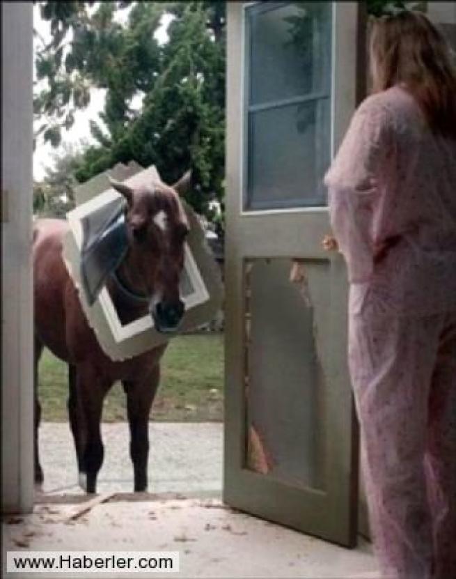 Sizden daha kötü bir gün geçiren 18 kişi 4