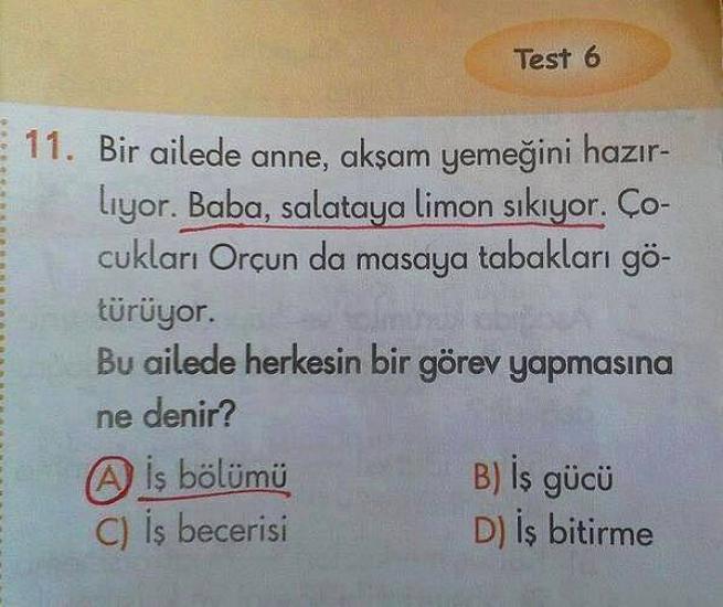 Hangi Kafayla Yazıldıklarını Anlayamayacağınız İlginç Sorular 4