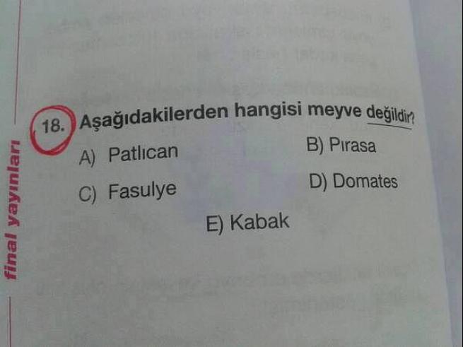Hangi Kafayla Yazıldıklarını Anlayamayacağınız İlginç Sorular 9