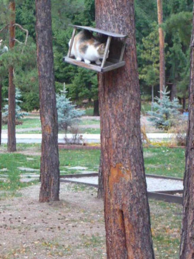 Günün ilginç kareleri 16