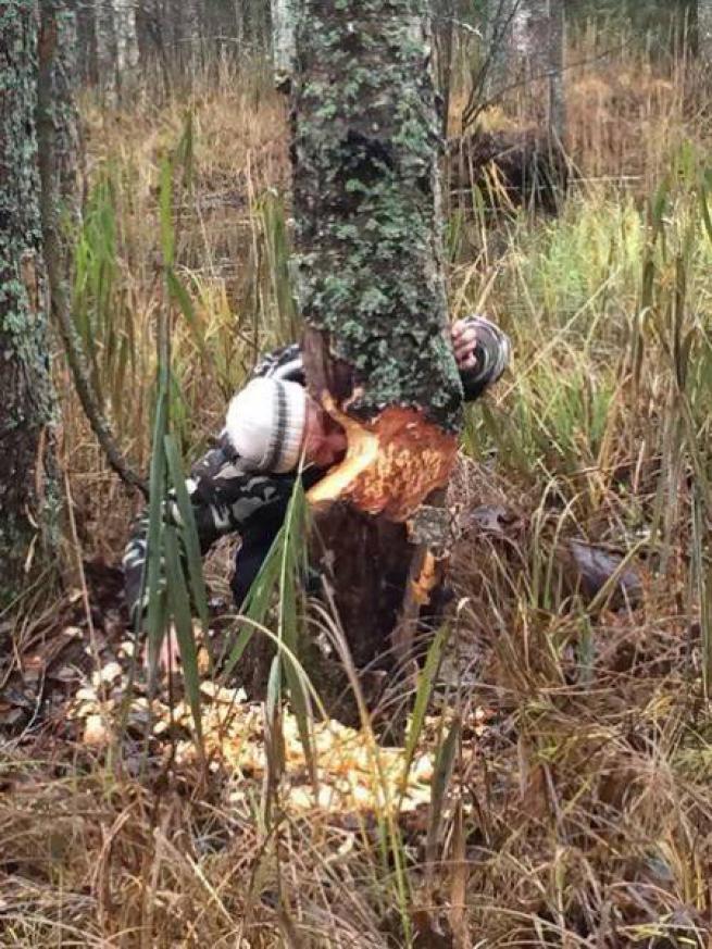 Günün ilginç kareleri 17