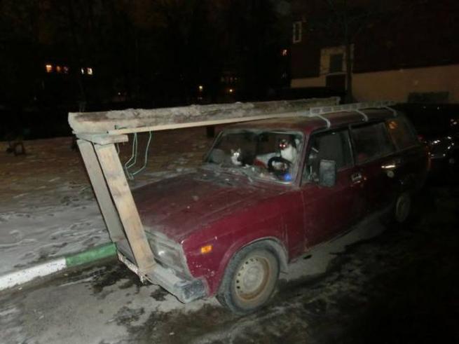 Günün ilginç kareleri 4