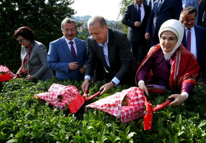 Cumhurbaşkanı Erdoğan Çay Bahçesine Girdi, Çay Kesti 11