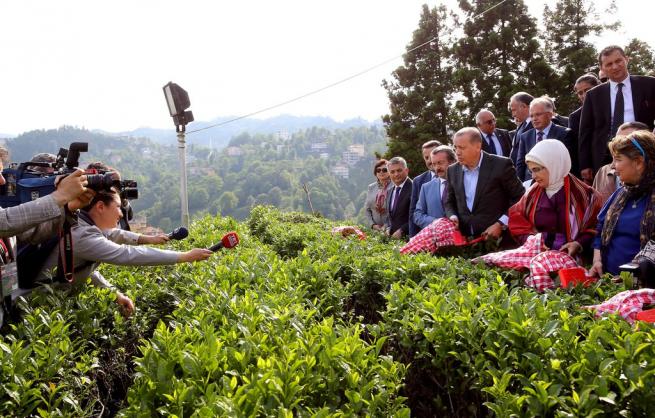 Cumhurbaşkanı Erdoğan Çay Bahçesine Girdi, Çay Kesti 13