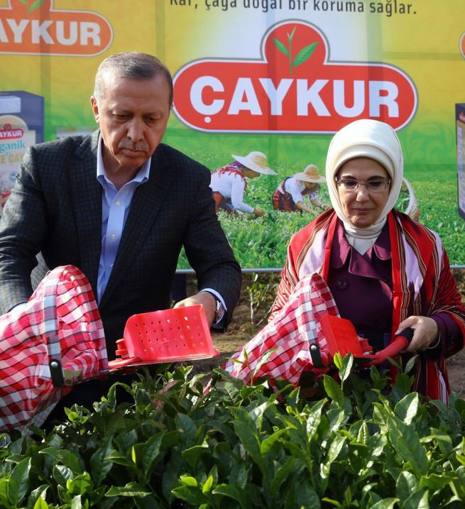 Cumhurbaşkanı Erdoğan Çay Bahçesine Girdi, Çay Kesti 14