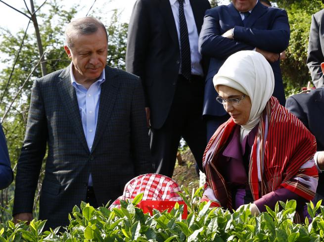 Cumhurbaşkanı Erdoğan Çay Bahçesine Girdi, Çay Kesti 15