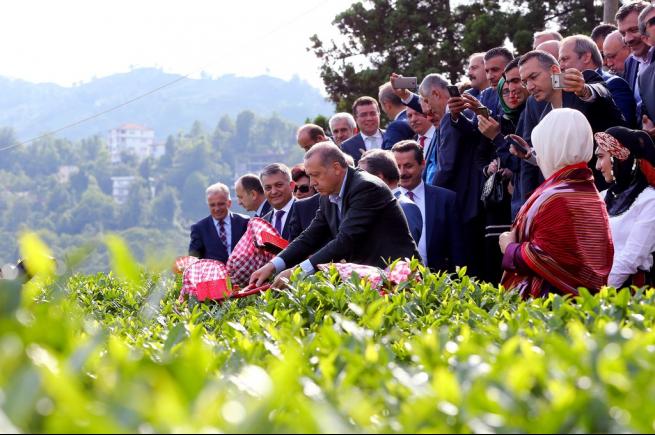 Cumhurbaşkanı Erdoğan Çay Bahçesine Girdi, Çay Kesti 16