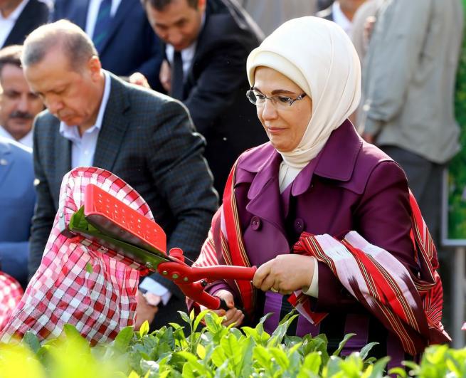 Cumhurbaşkanı Erdoğan Çay Bahçesine Girdi, Çay Kesti 17