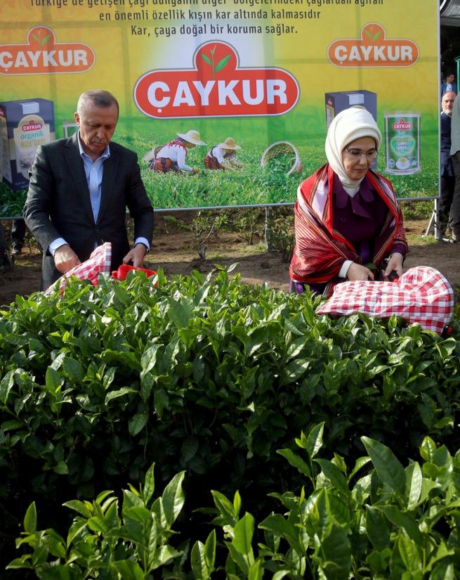 Cumhurbaşkanı Erdoğan Çay Bahçesine Girdi, Çay Kesti 18