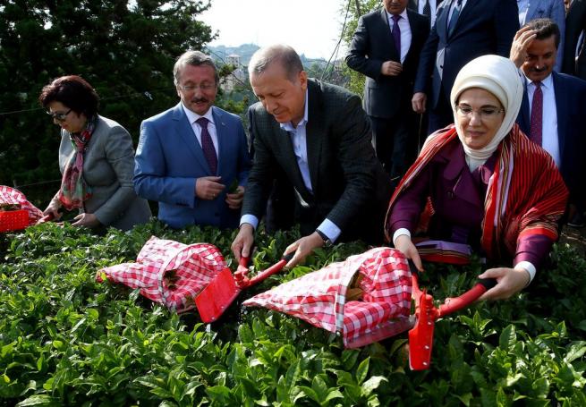 Cumhurbaşkanı Erdoğan Çay Bahçesine Girdi, Çay Kesti 2