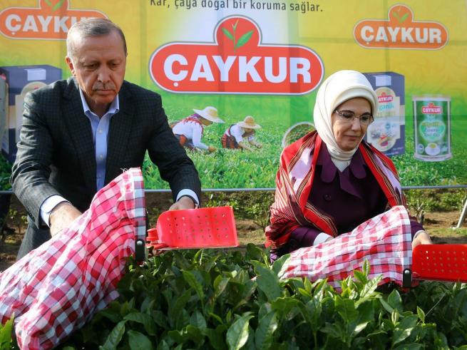 Cumhurbaşkanı Erdoğan Çay Bahçesine Girdi, Çay Kesti 4