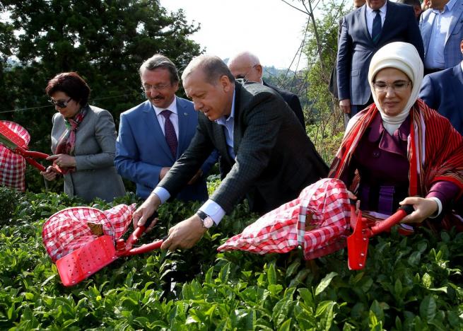 Cumhurbaşkanı Erdoğan Çay Bahçesine Girdi, Çay Kesti 8