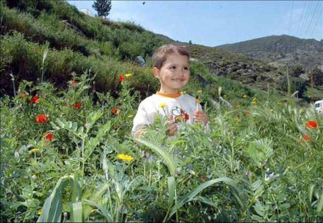 Türkiye ve Dünya'dan Bahar Manzaraları 2