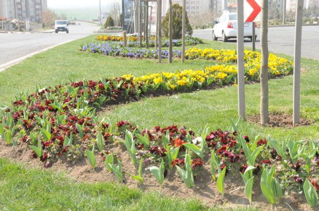Türkiye ve Dünya'dan Bahar Manzaraları 23