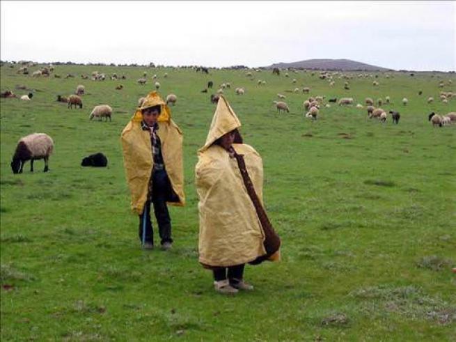 Türkiye ve Dünya'dan Bahar Manzaraları 30