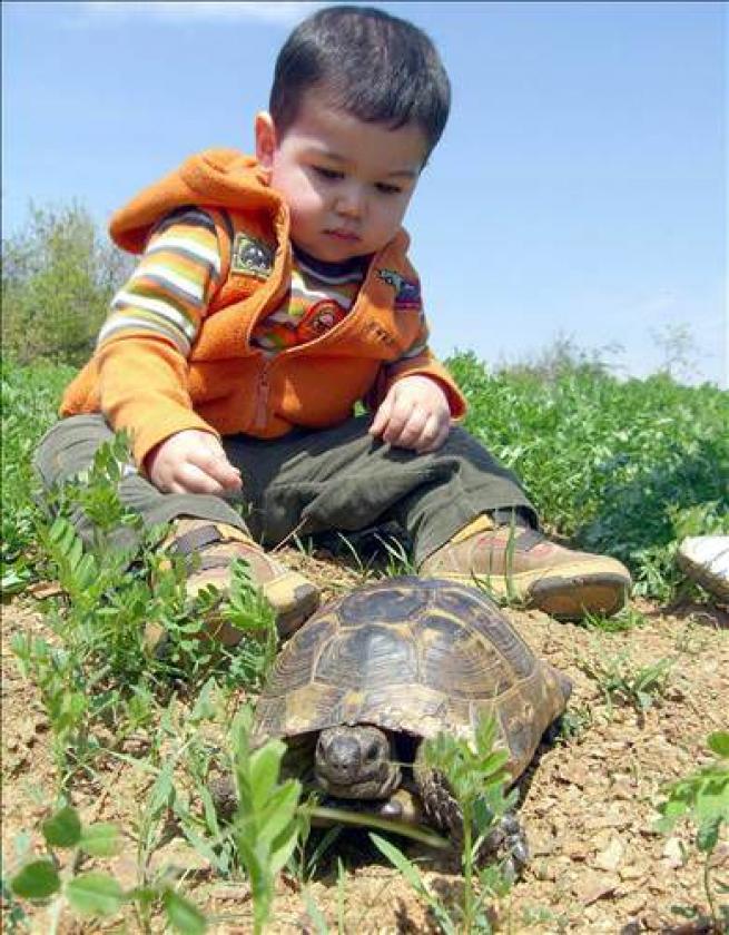 Türkiye ve Dünya'dan Bahar Manzaraları 31
