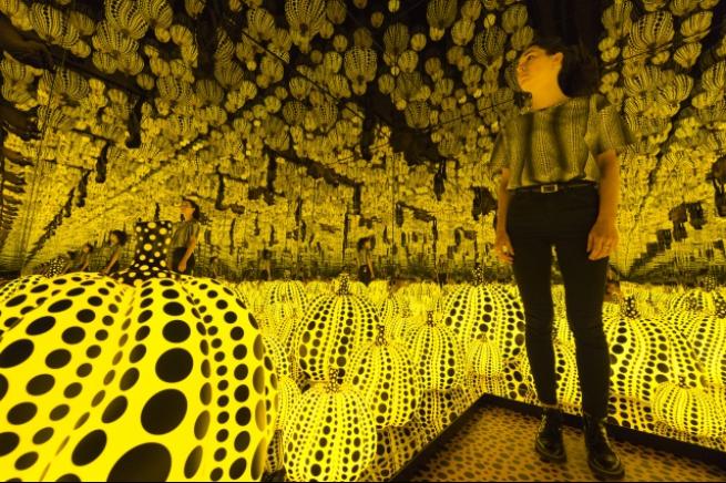 Japon sanatçı Yayoi Kusama'nın sergisi 5