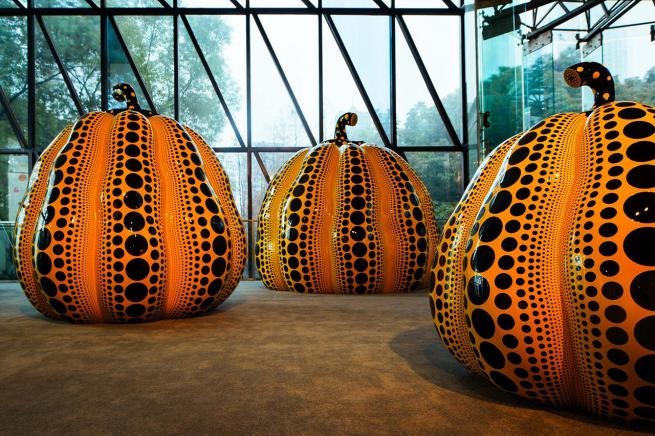 Japon sanatçı Yayoi Kusama'nın sergisi 8