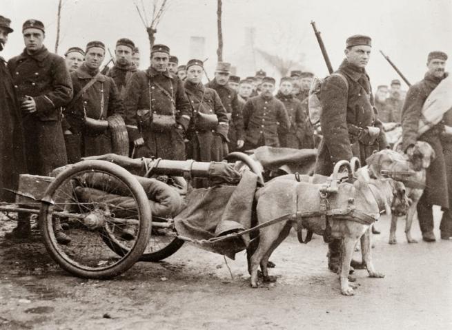 1900'lü yıllardan tarihin en ilginç fotoğrafları 6