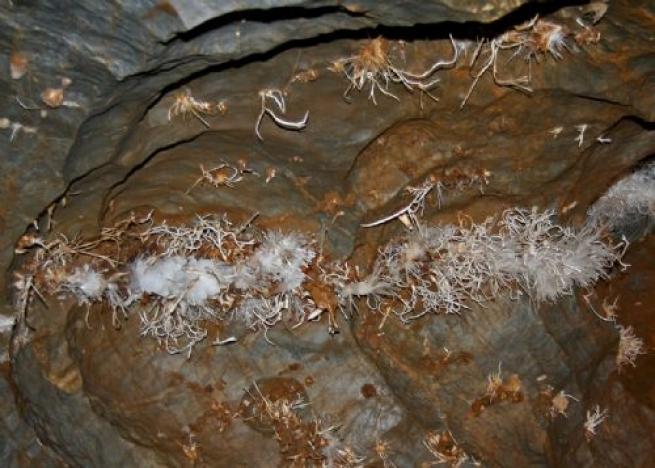 5,5 milyon yıllık mağara bulundu 16