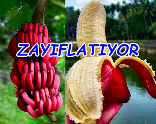 Her sabah 1 tanesi zayıflattı ! 4