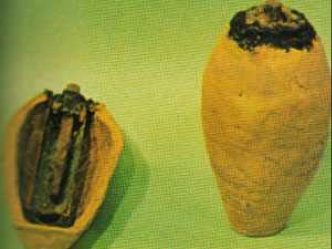 Bilim dünyasını çaresiz bırakan gizemler 15