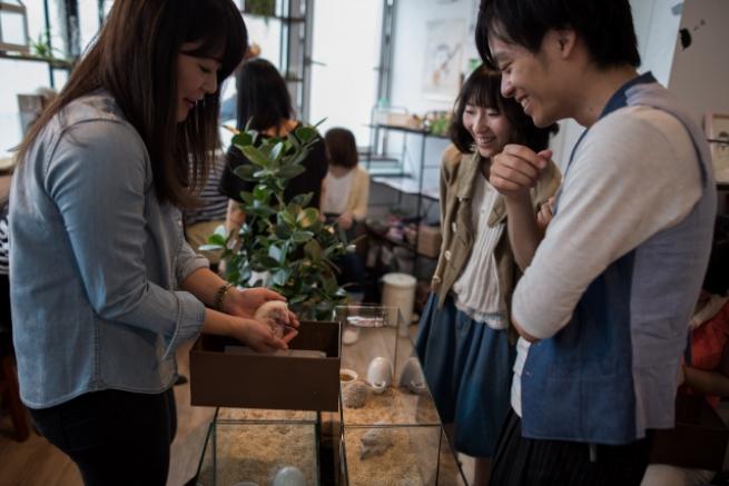 Tokyo'da Kirpi Kafe 10