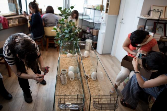 Tokyo'da Kirpi Kafe 7