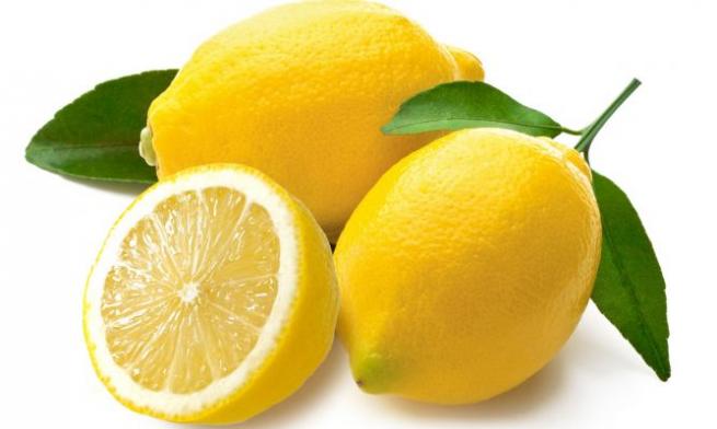 Kansere karşı koruyucu kalkan olan besinler 9