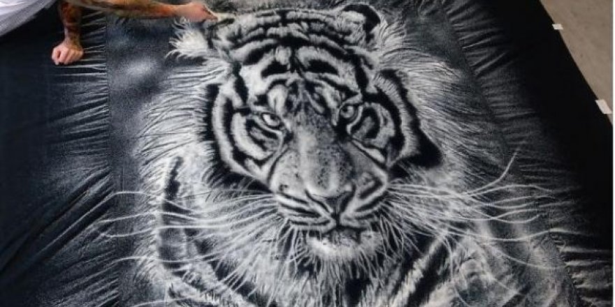 Yemek tuzuyla inanılmaz eserler ortaya koydu!