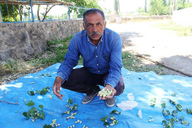 Dut pekmezi oruç tutanların vazgeçilmezi oldu 4