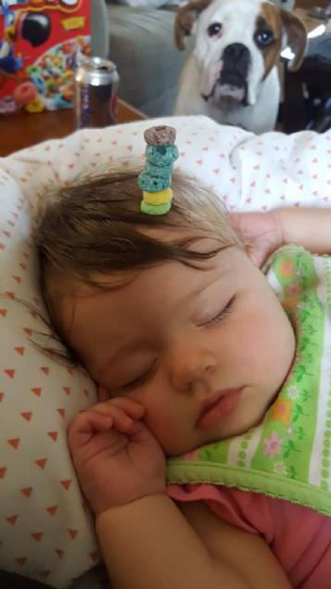 Sosyal medyanın yeni trendi cheerio 20