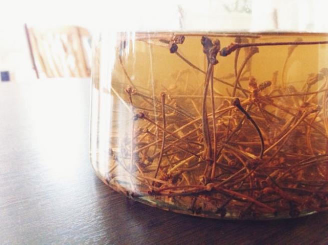 Zayıflamanızı sağlayan kiraz sapı çayı 2